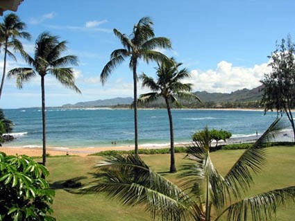 Stunning Beachfront Hawaii Condo Rentals